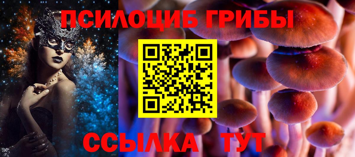 Галлюциногенные грибы MAGIC MUSHROOMS  Вход с VPN  Галлюциногенные грибы мухоморы  Кириши 